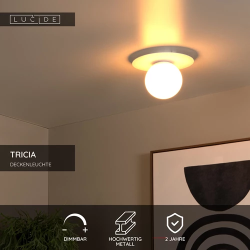 Lucide TRICIA - Deckenleuchte - Ø 25 cm - 1xE27 - Weiß - USP